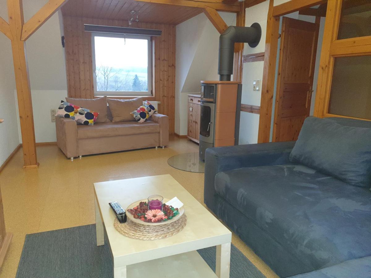Die Gemuetliche Ferienwohnung Fuer Jedermann! Oppach Extérieur photo