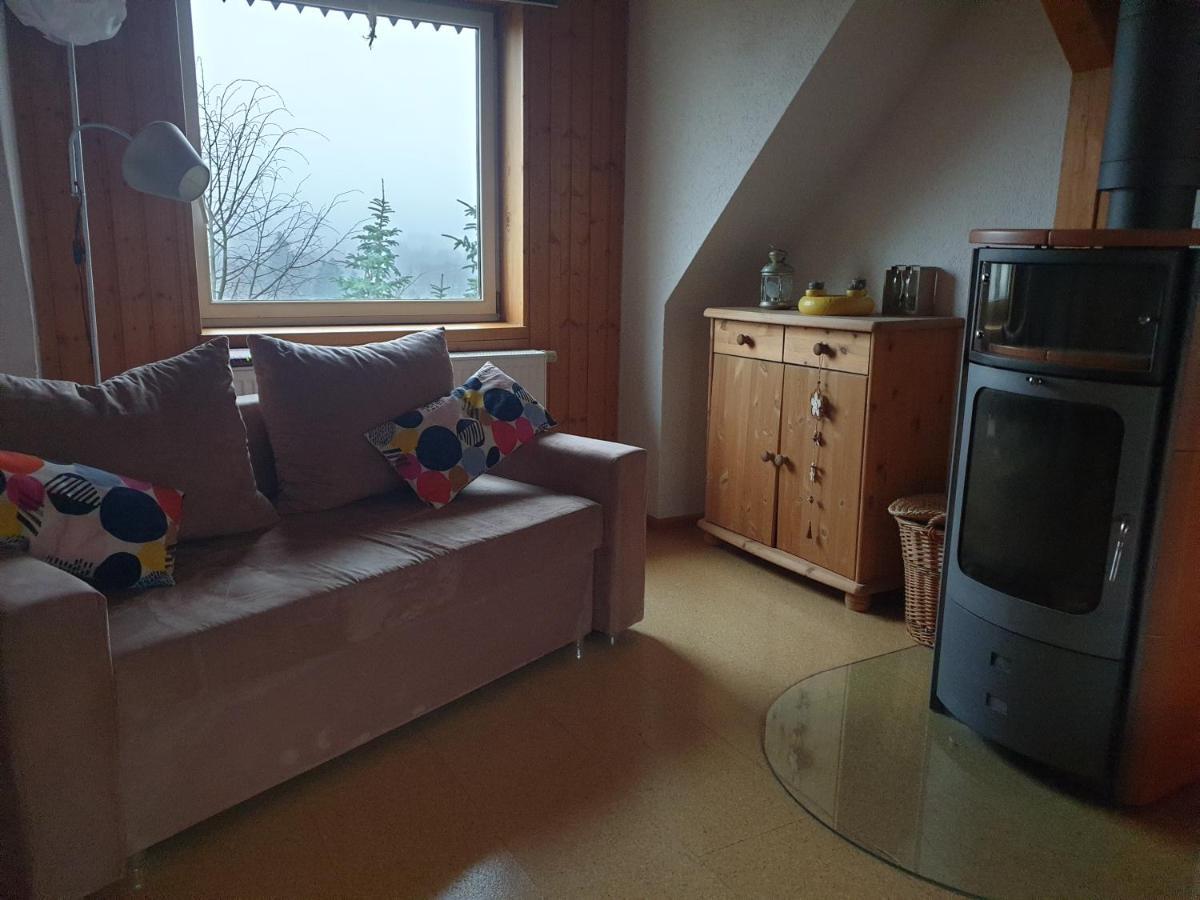 Die Gemuetliche Ferienwohnung Fuer Jedermann! Oppach Extérieur photo