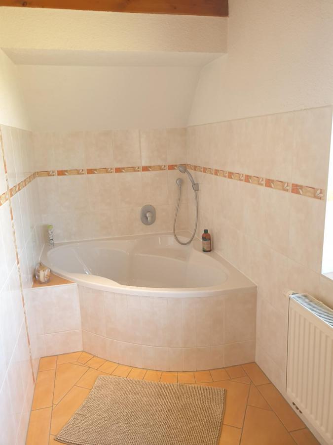 Die Gemuetliche Ferienwohnung Fuer Jedermann! Oppach Extérieur photo